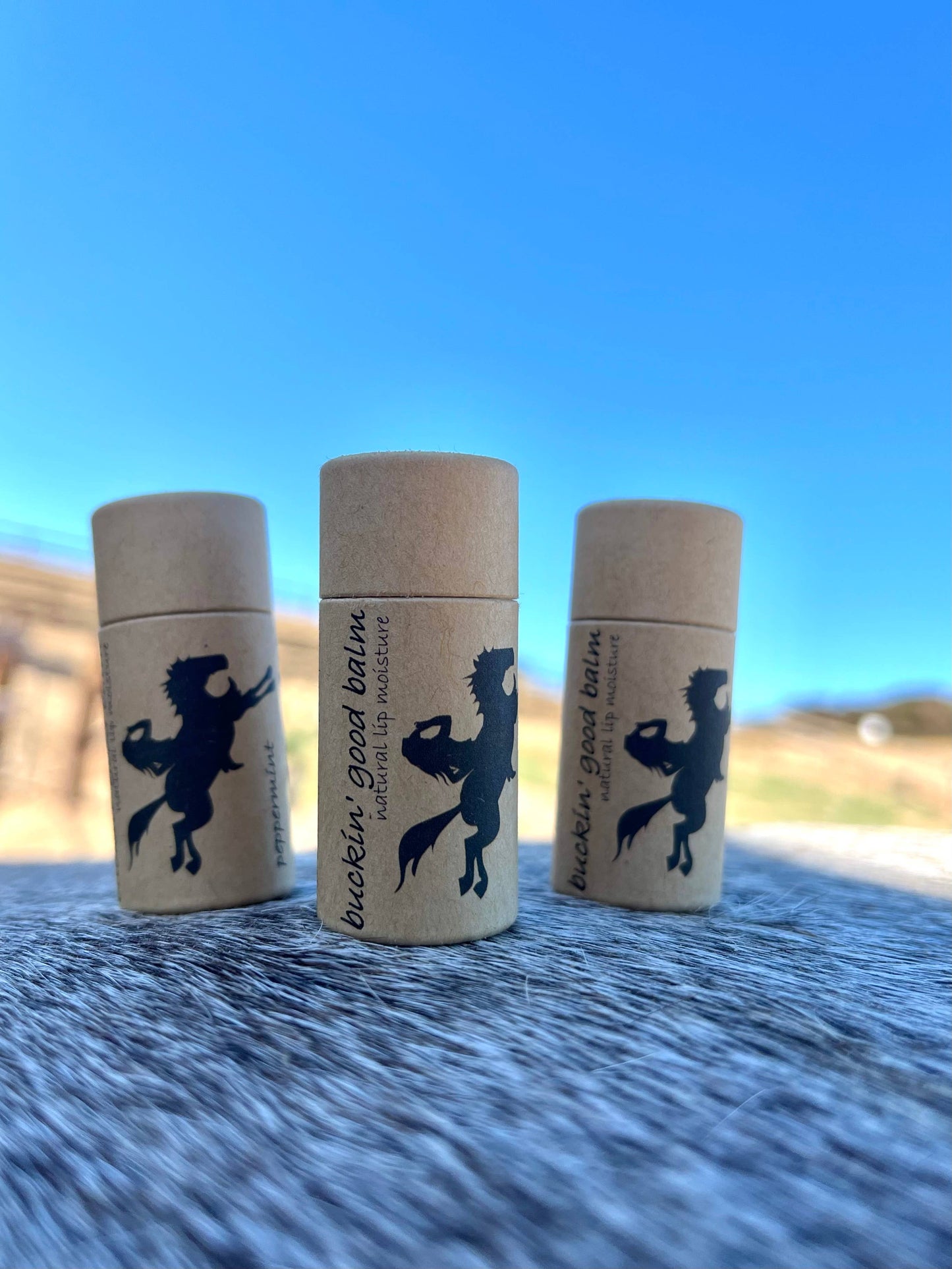 Lip Balm Peppermint (natural, plastic free)