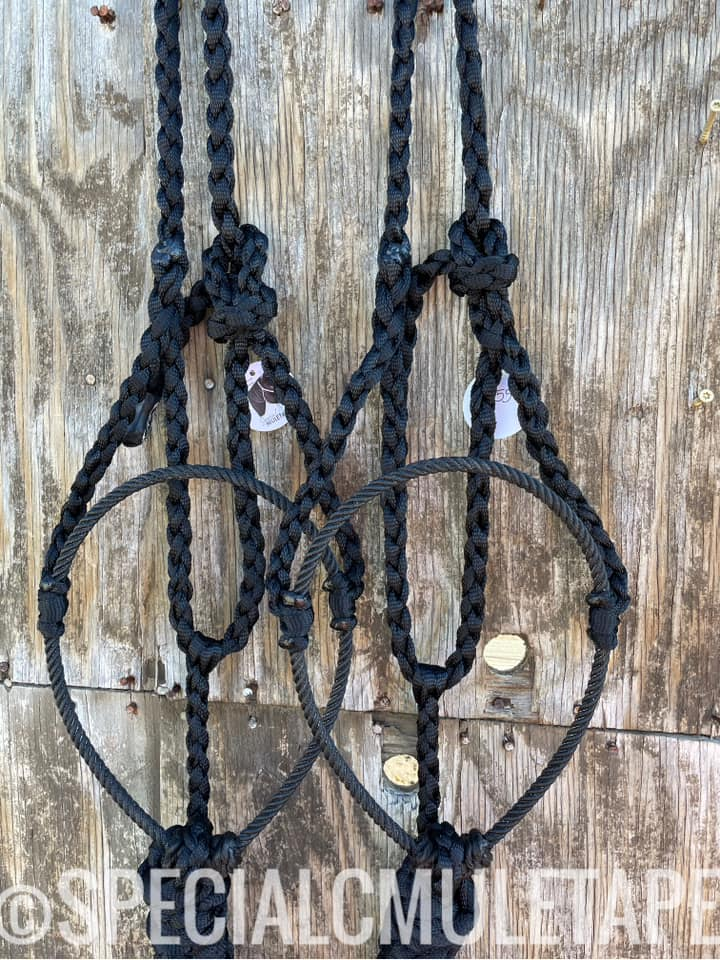 Special C Mule tape halters