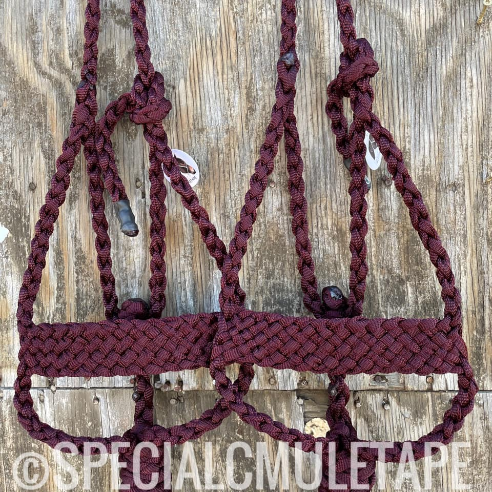 Special C Mule tape halters