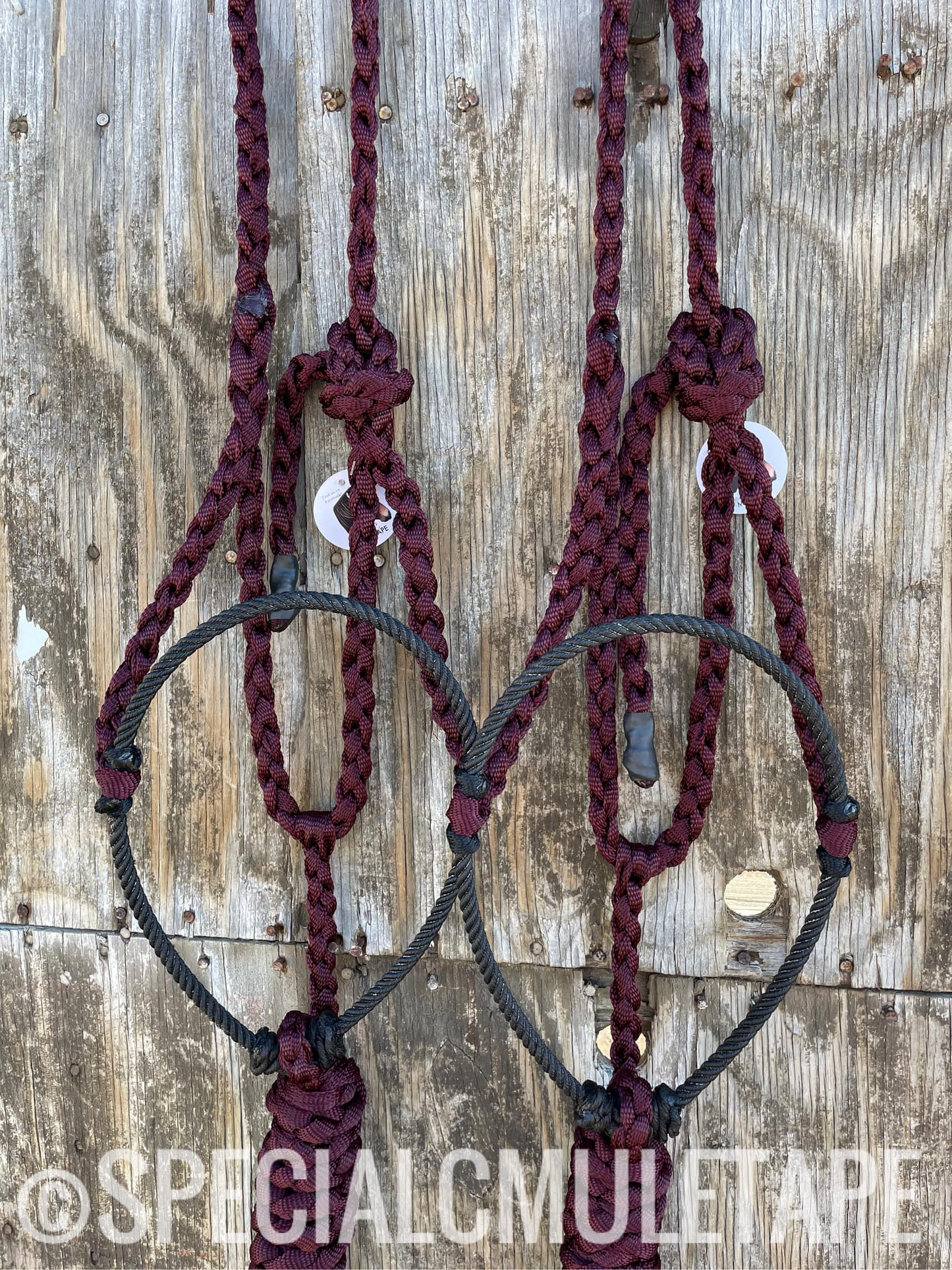 Special C Mule tape halters