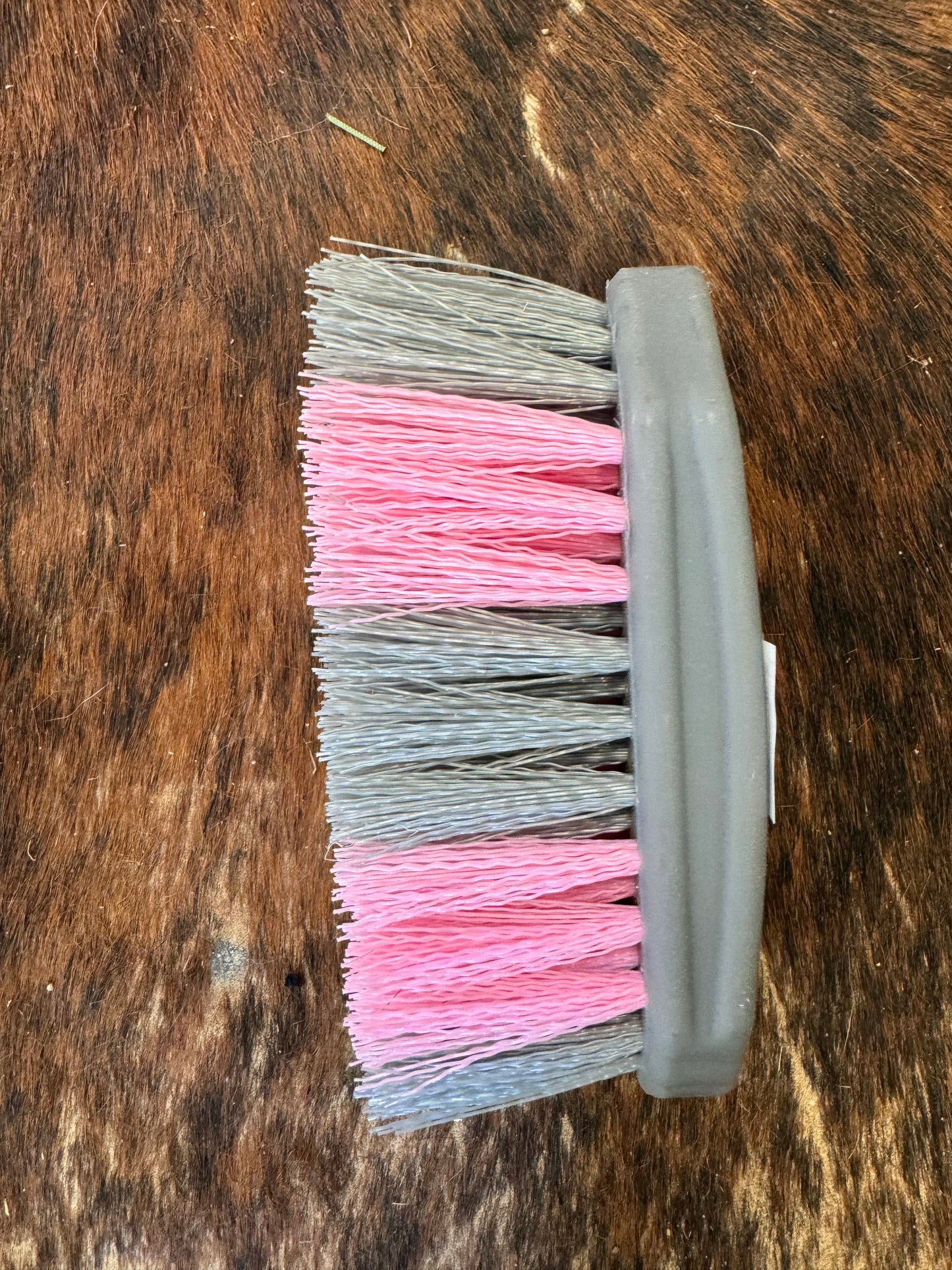 Two Tone Dandy Hard Bristle Brush