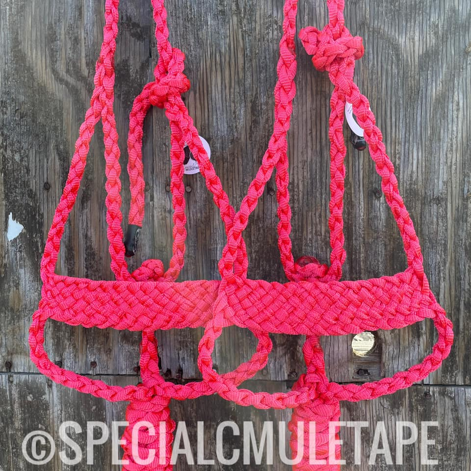 Special C Mule tape halters