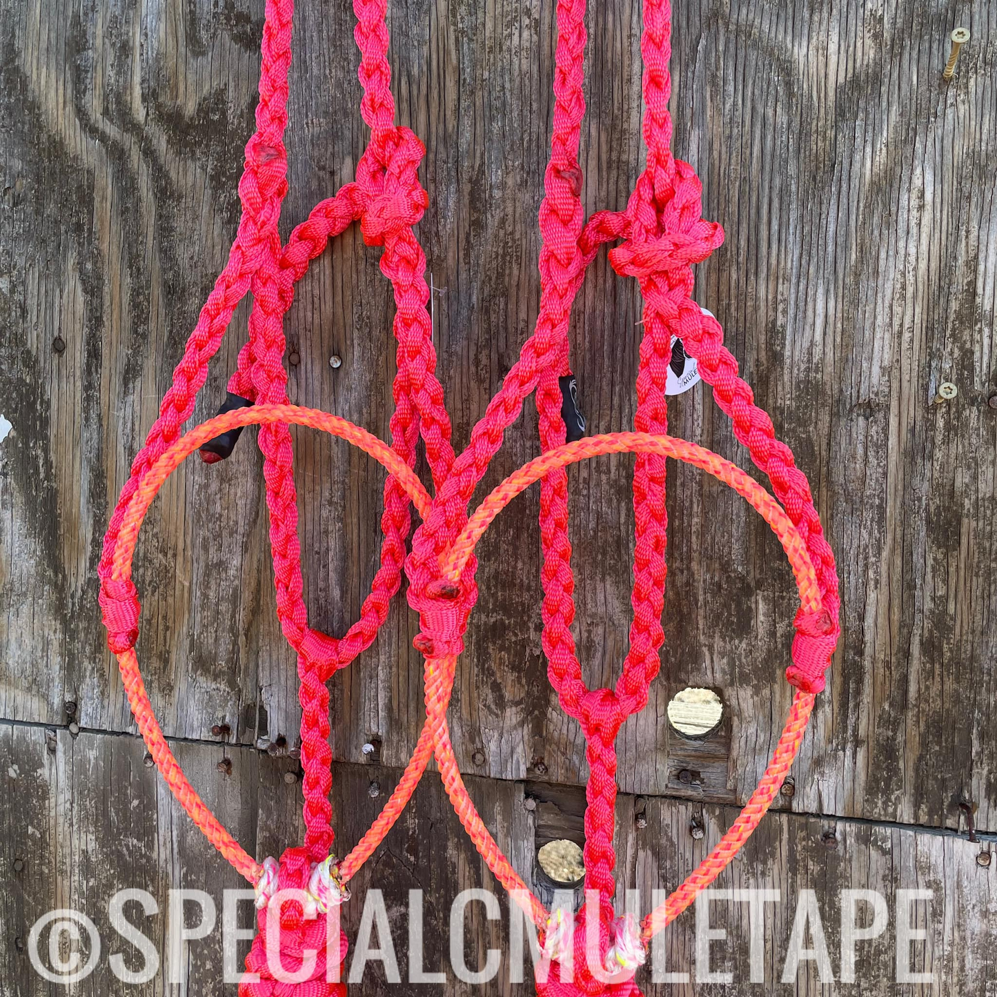 Special C Mule tape halters