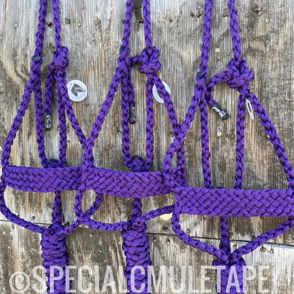 Special C Mule tape halters