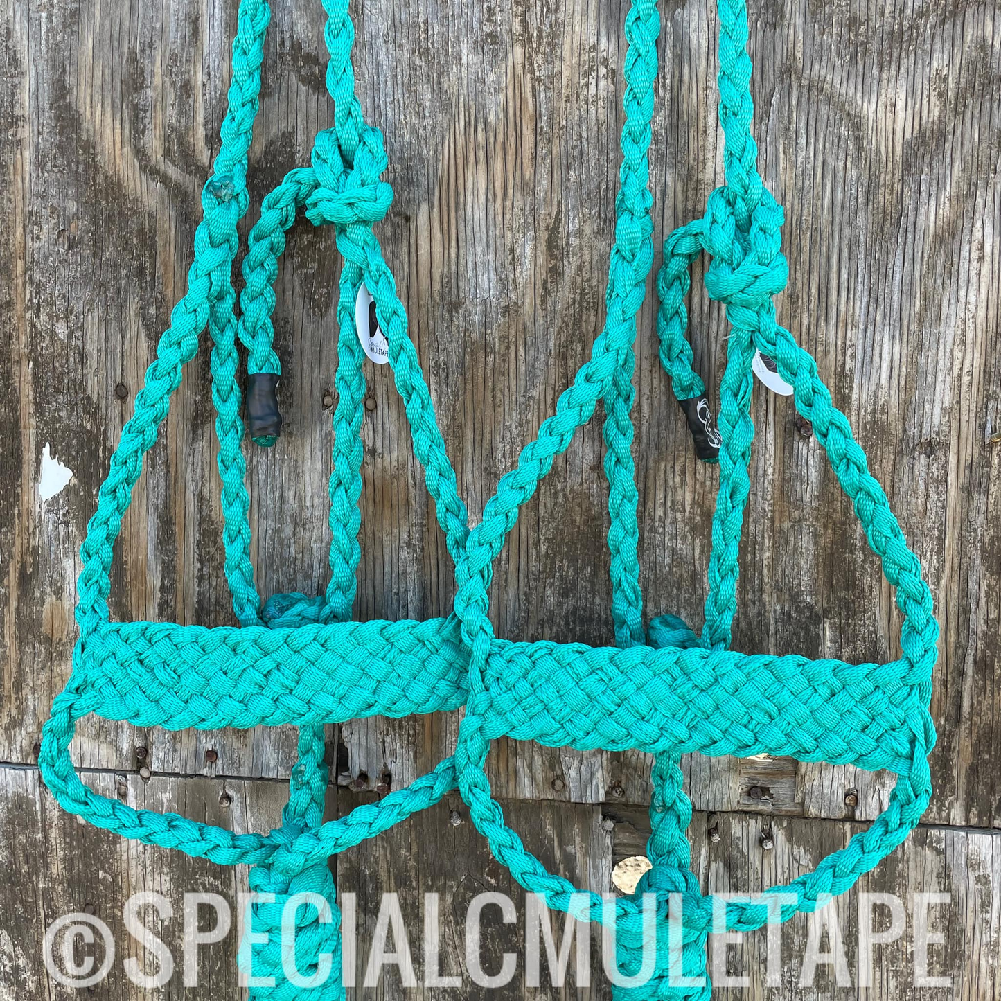 Special C Mule tape halters