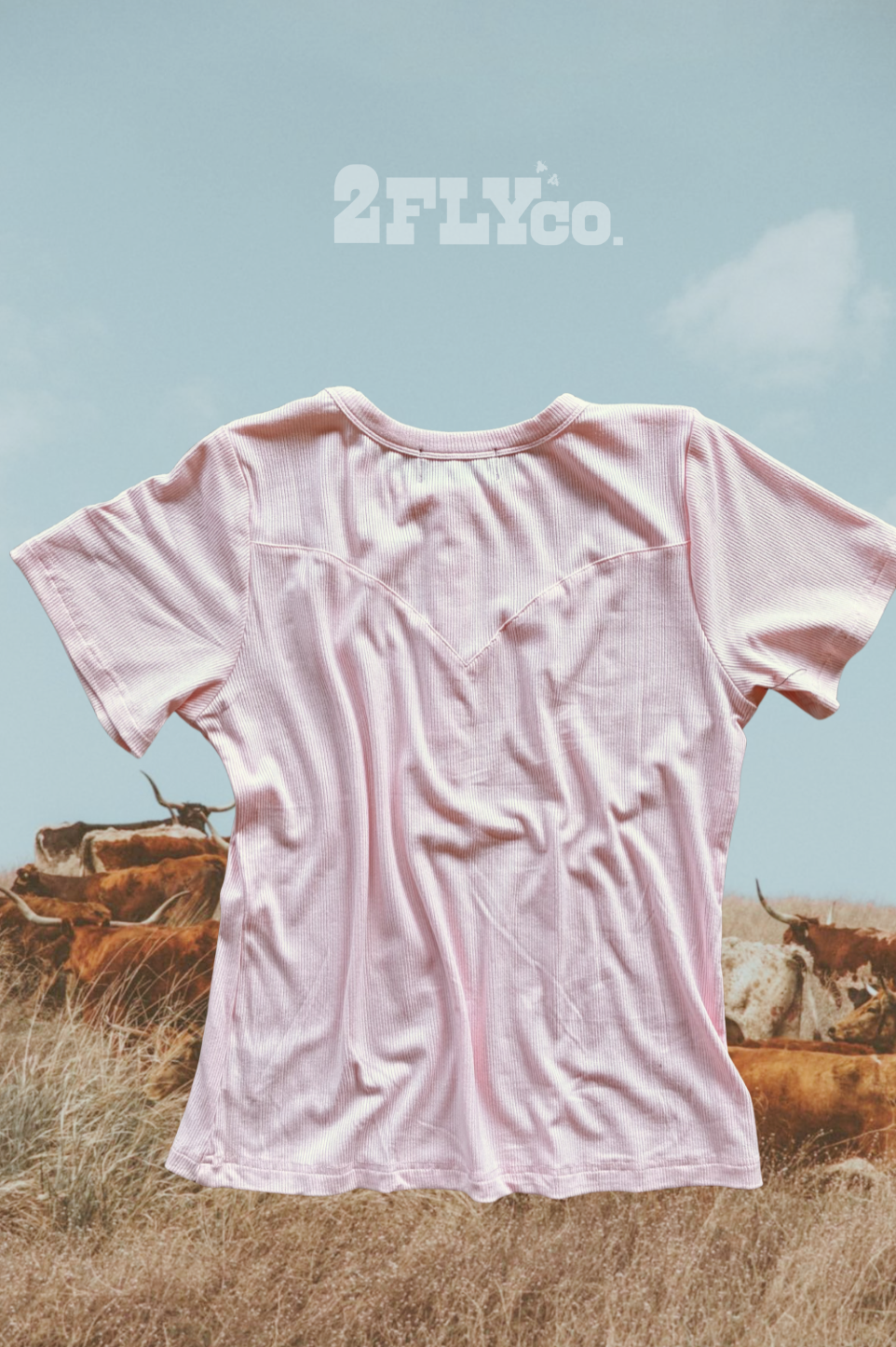 Blush Pearl Snap Western Top | Ribbed Country Basic