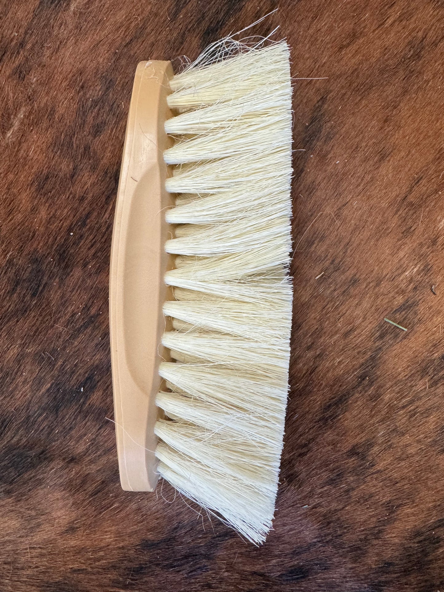 Large Dandy Medium Bristle Brush